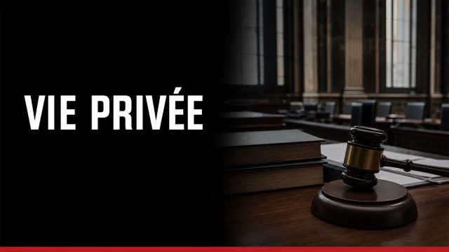 Vie privee et donnees d entrainement de l IA